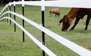 ACCESS CONTROL - POLY TAPE FENCING